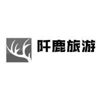 探索上海申悠 您的专属旅游咨询伙伴